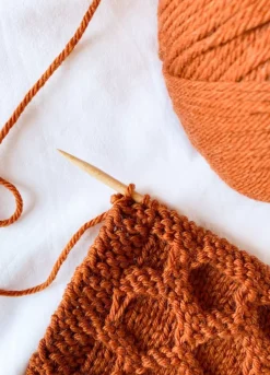 We Are Knitters Meripaca Cinnamon| Worsted / Aran|Merino