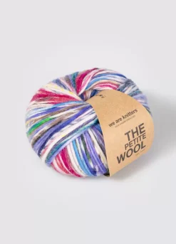 We Are Knitters Petite Wool Hand Painted Sprinkle| Bulky|Ool